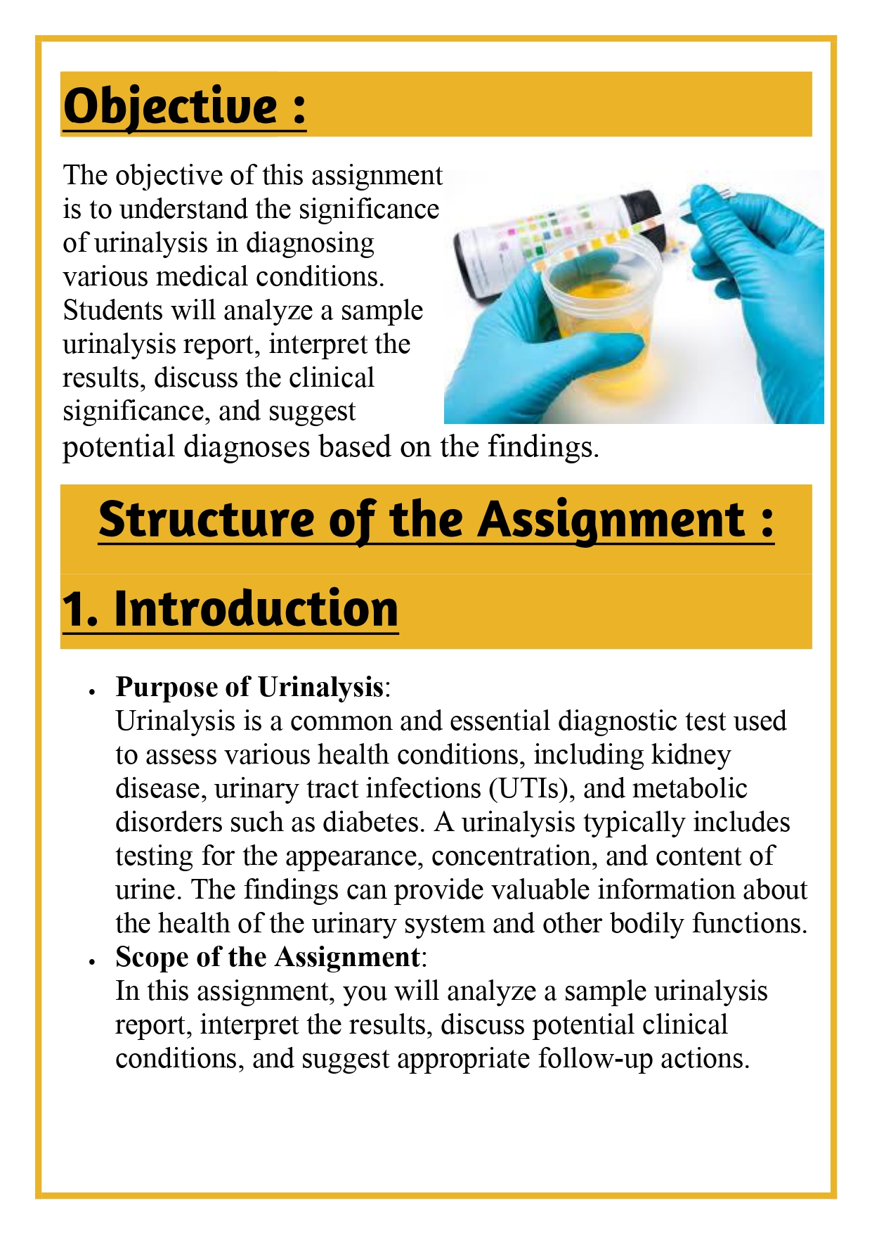 The students shall be asked to submit written assignments on Various Pathology Lab Reports (Urinalysis) Assignment - Image 5