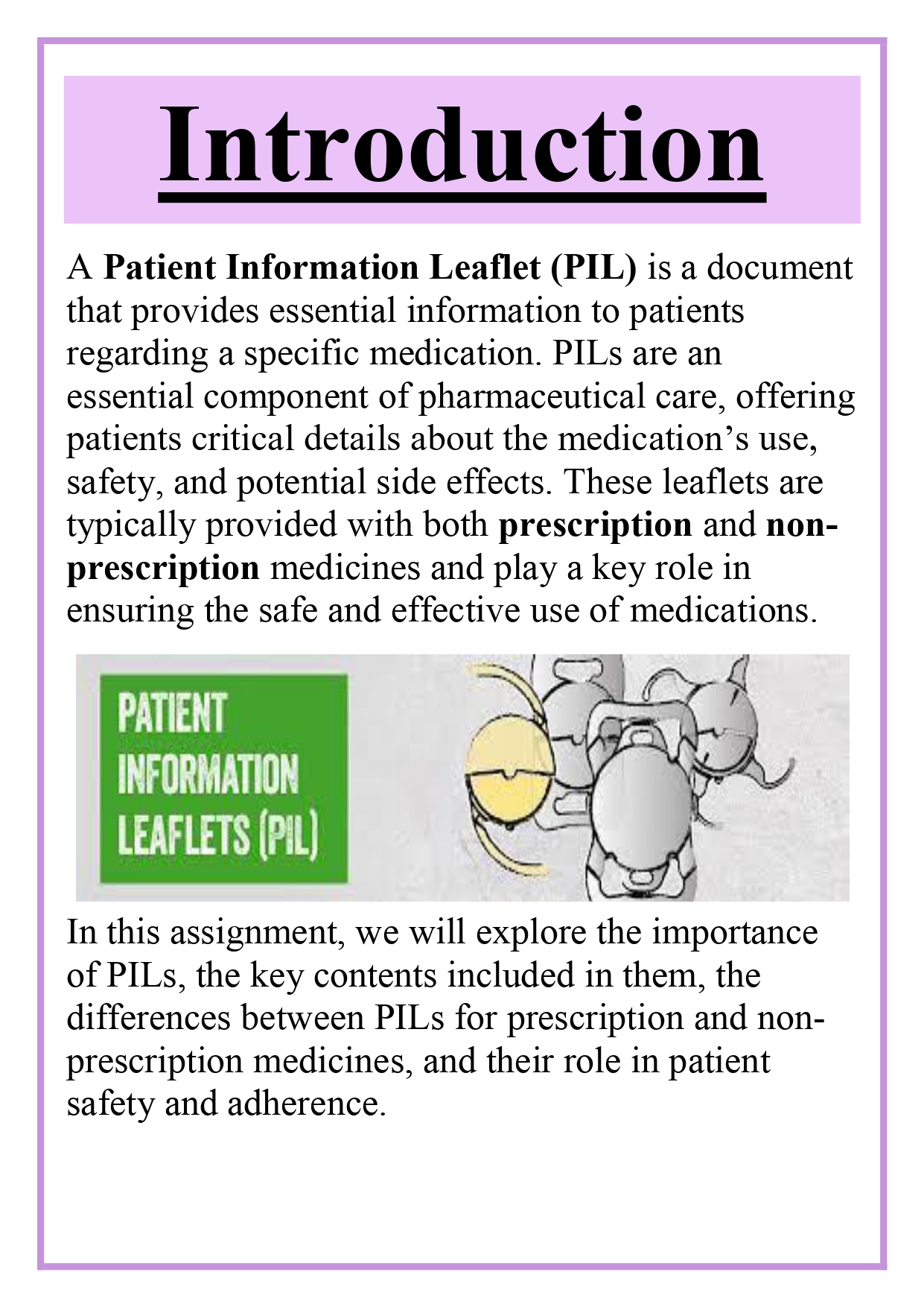 Patient Information Leaflet for prescription / non-prescription medicines Assignment - Image 5